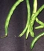 Beans