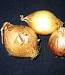 Onions